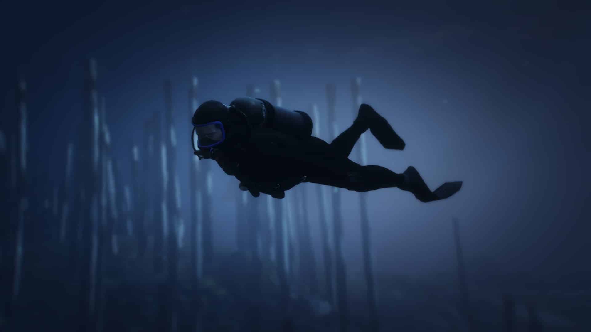 Diving Job