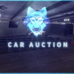 Auto-Auktion